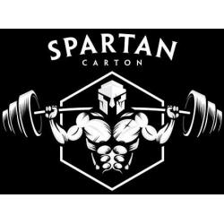 Coupon codes and deals from spartancarton